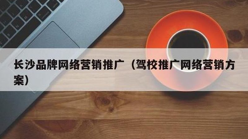 全网营销方案：揭秘其优缺点，助力企业精准决策